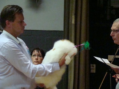 20121021_233 (Expo)